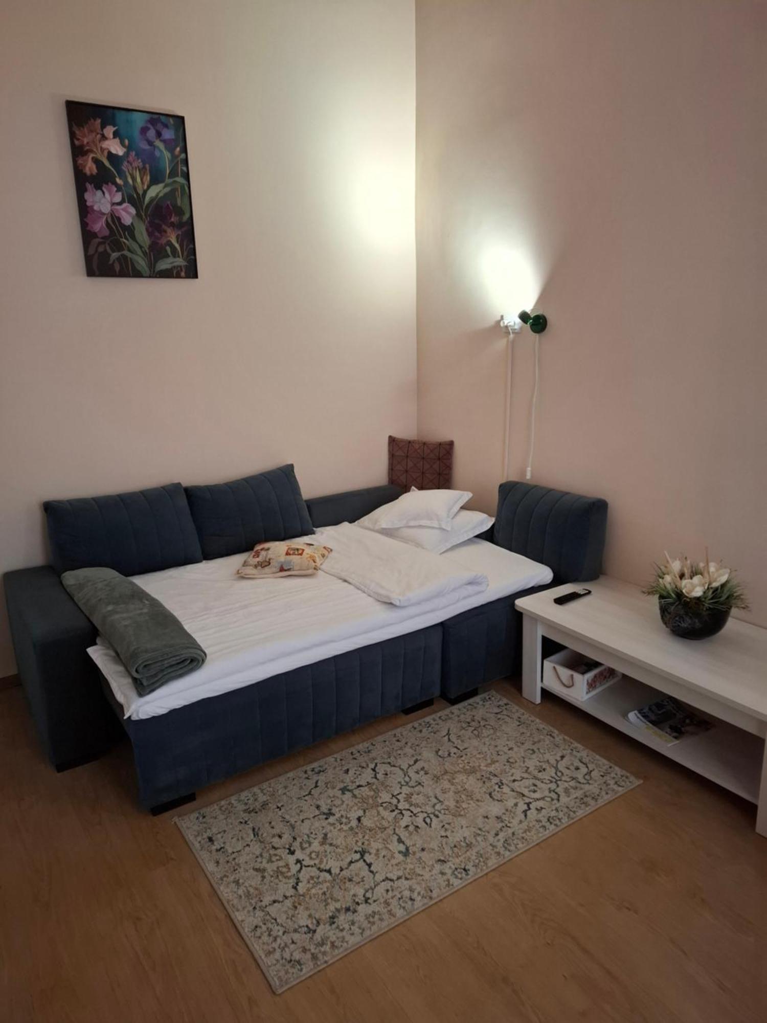 Fortuna Ultracentral Apartment